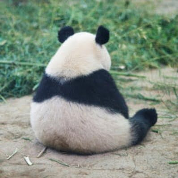 Meet your Posher, Andy - Picture 1 of 1